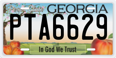 GA license plate PTA6629