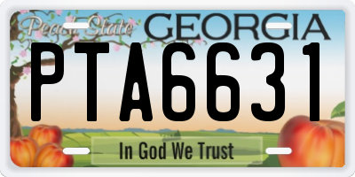 GA license plate PTA6631