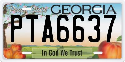 GA license plate PTA6637