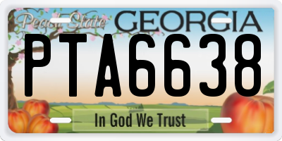 GA license plate PTA6638