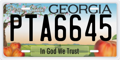 GA license plate PTA6645