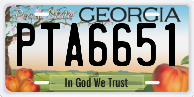 GA license plate PTA6651