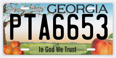 GA license plate PTA6653