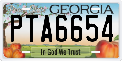 GA license plate PTA6654