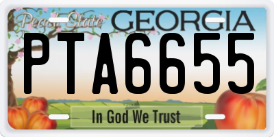GA license plate PTA6655