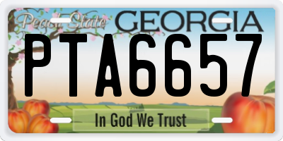GA license plate PTA6657
