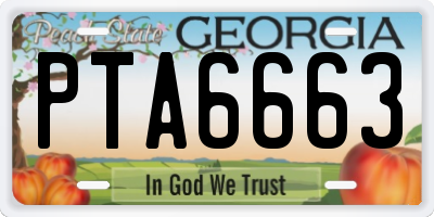 GA license plate PTA6663