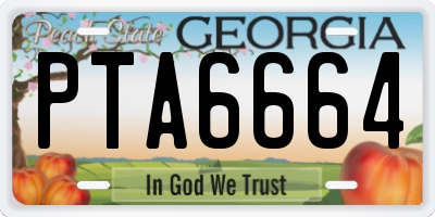 GA license plate PTA6664