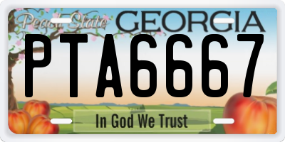 GA license plate PTA6667