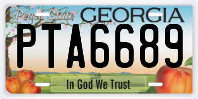GA license plate PTA6689