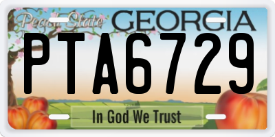 GA license plate PTA6729
