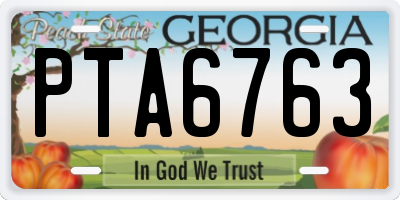 GA license plate PTA6763