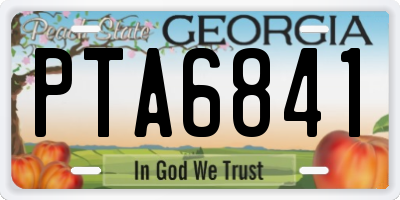GA license plate PTA6841