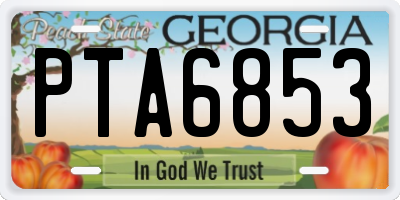 GA license plate PTA6853