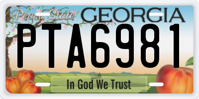 GA license plate PTA6981