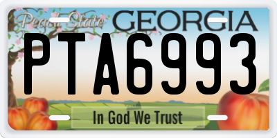 GA license plate PTA6993