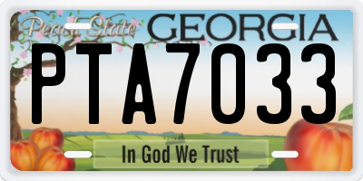 GA license plate PTA7033