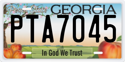GA license plate PTA7045