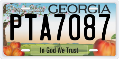 GA license plate PTA7087
