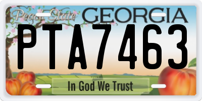 GA license plate PTA7463