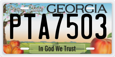 GA license plate PTA7503
