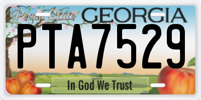 GA license plate PTA7529