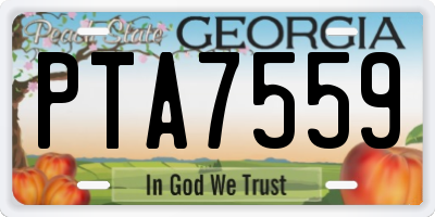 GA license plate PTA7559