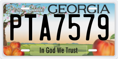 GA license plate PTA7579