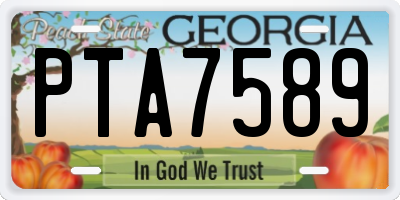 GA license plate PTA7589