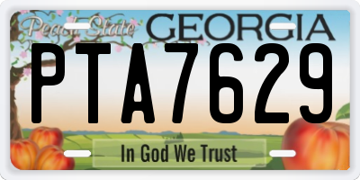 GA license plate PTA7629