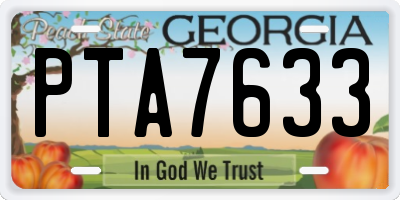 GA license plate PTA7633