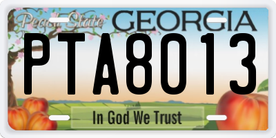 GA license plate PTA8013