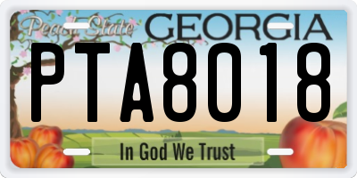 GA license plate PTA8018