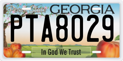 GA license plate PTA8029