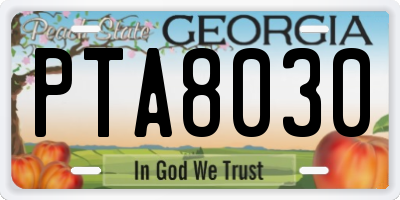GA license plate PTA8030