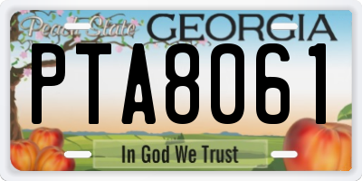 GA license plate PTA8061