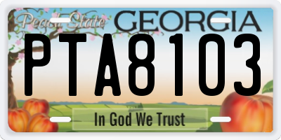 GA license plate PTA8103