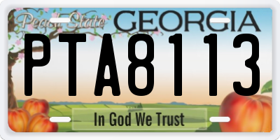 GA license plate PTA8113