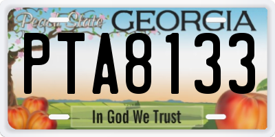 GA license plate PTA8133
