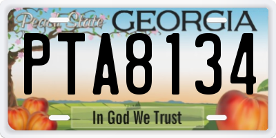 GA license plate PTA8134