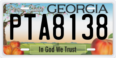 GA license plate PTA8138