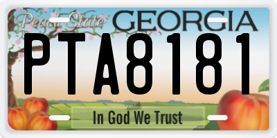 GA license plate PTA8181