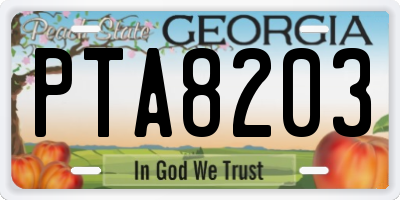 GA license plate PTA8203