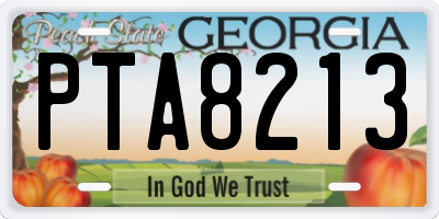GA license plate PTA8213
