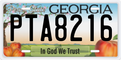 GA license plate PTA8216