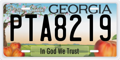 GA license plate PTA8219