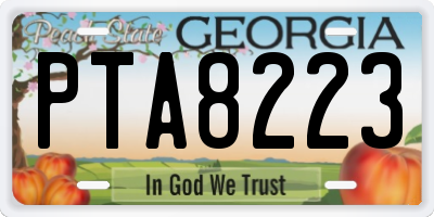 GA license plate PTA8223