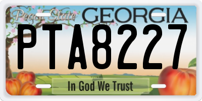 GA license plate PTA8227