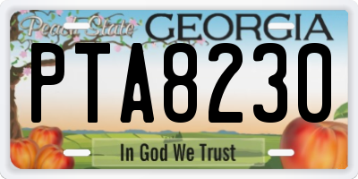 GA license plate PTA8230