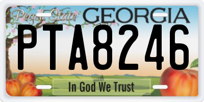 GA license plate PTA8246